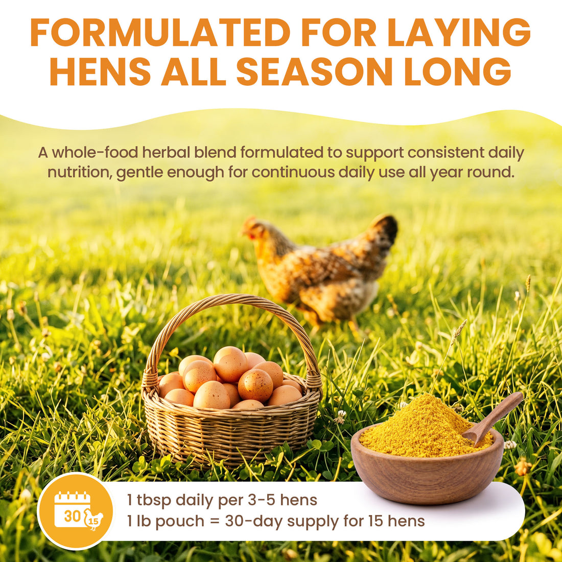 Golden Yolk Daily Egg Booster
