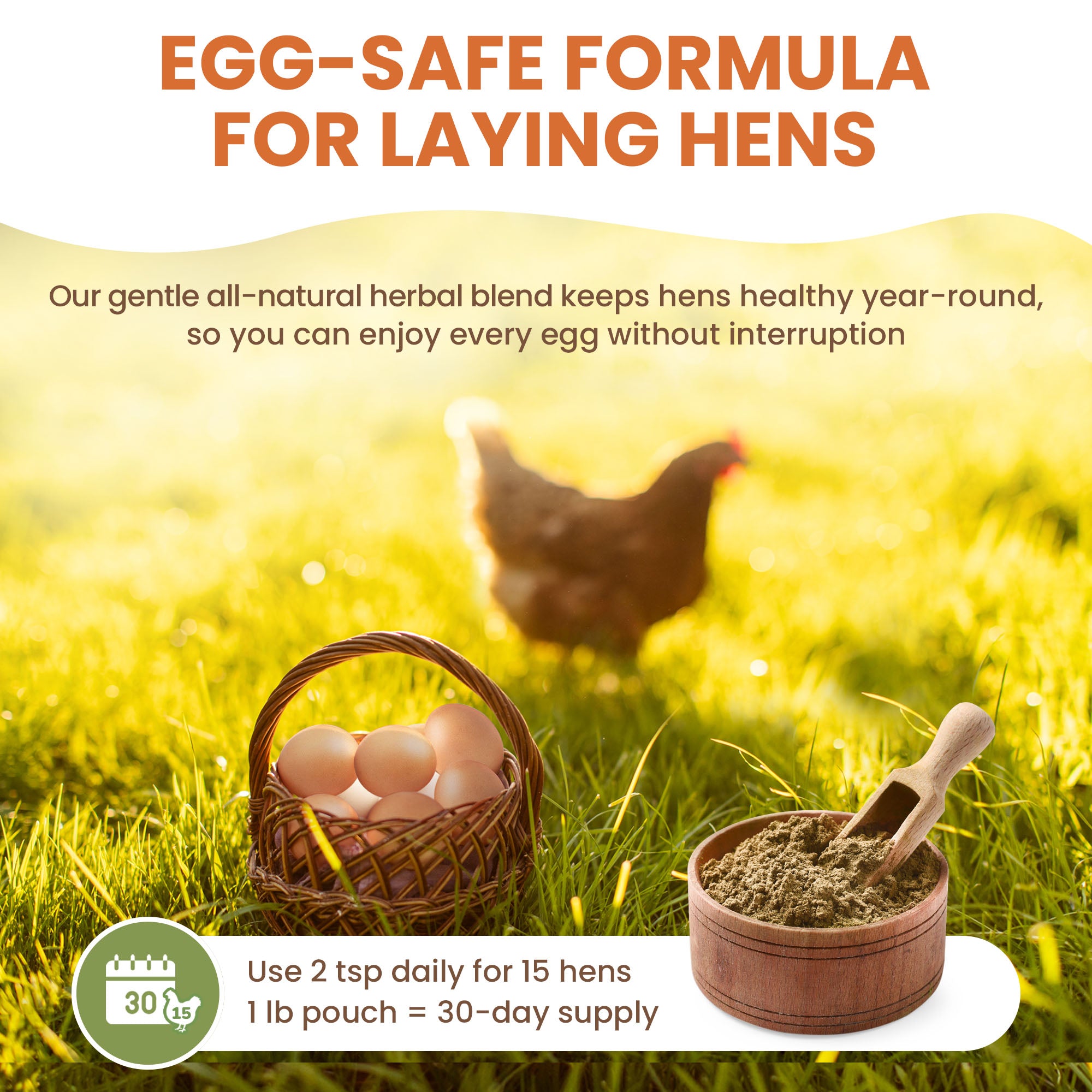 Chicken Dewormer — Natural Herbal Flock Blend