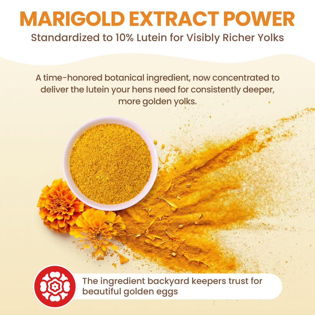 Golden Yolk Daily Egg Booster