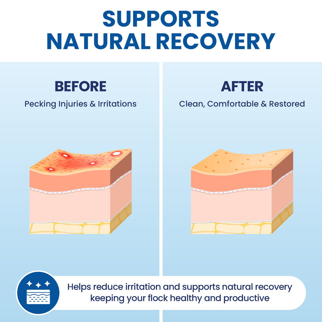 Supports natural recovery - before and after skin illustration