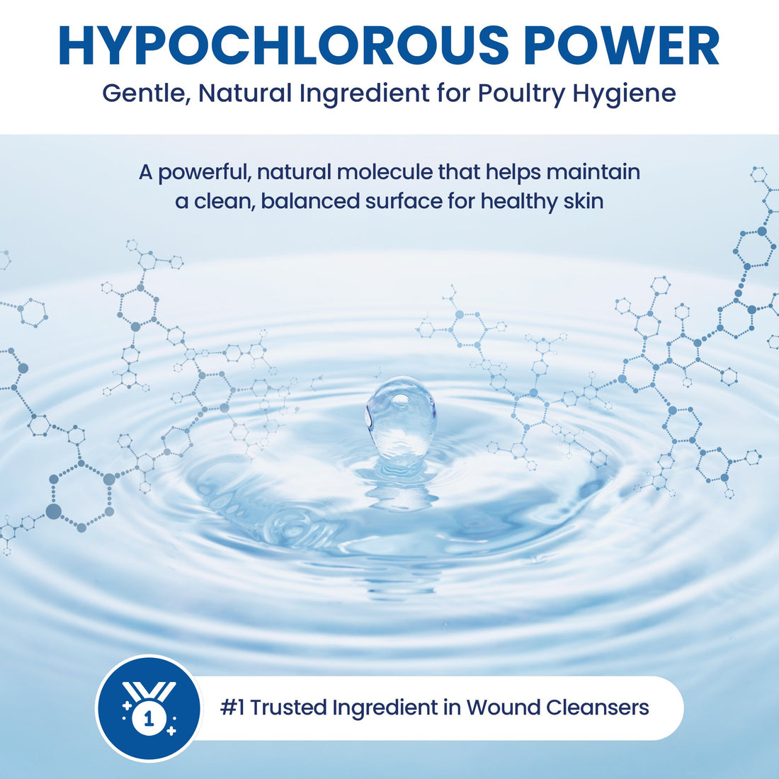 Hypochlorous power - gentle natural ingredient for poultry hygiene